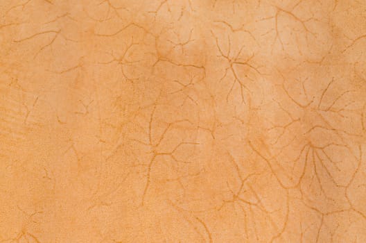 Natural brown leather. Animal skin Stretched. As a background.
