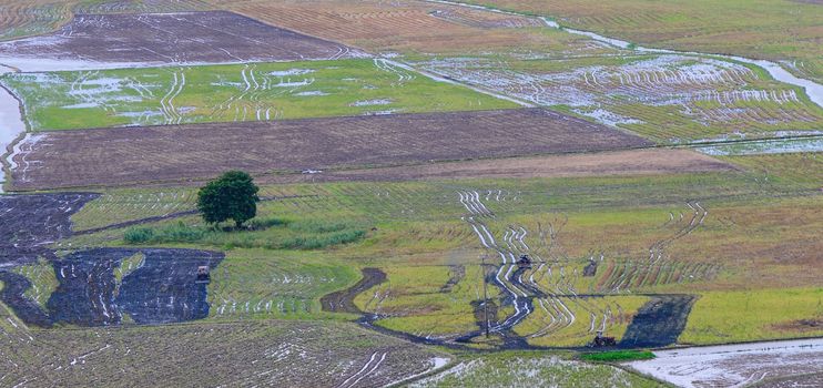 Aerial view of paddy rice fields in Mekong Delta Zone, Southern Vietnam.