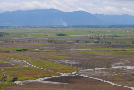 Aerial view of paddy rice fields in Mekong Delta Zone, Southern Vietnam.