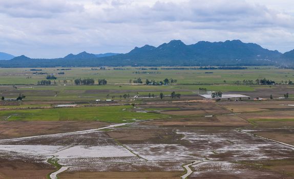 Aerial view of paddy rice fields in Mekong Delta Zone, Southern Vietnam.