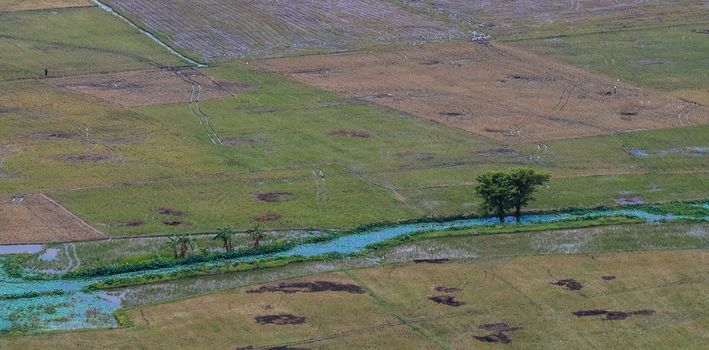 Aerial view of paddy rice fields in Mekong Delta Zone, Southern Vietnam.