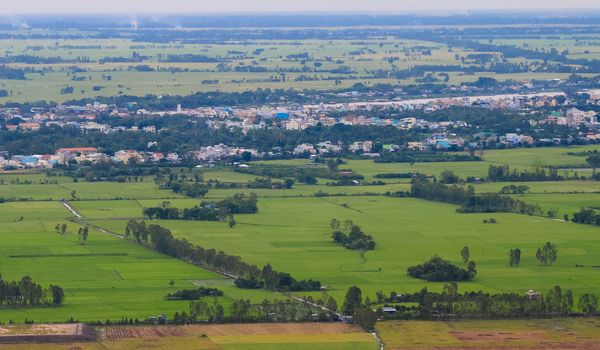 Aerial view of paddy rice fields in Mekong Delta Zone, Southern Vietnam.