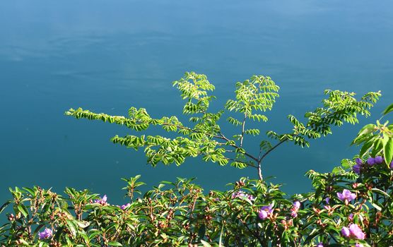 Mountain lake in Chau Doc town, An Giang, Vietnam. Chau doc near Cambodia is famous tourist spots of the Mekong river tours.