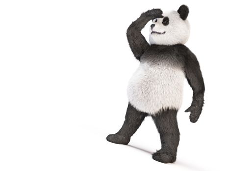 bamboo bear stands on two legs and shelded his eyes from the sun hand/ smiling furry panda character put his paw to his head and looks into the distance