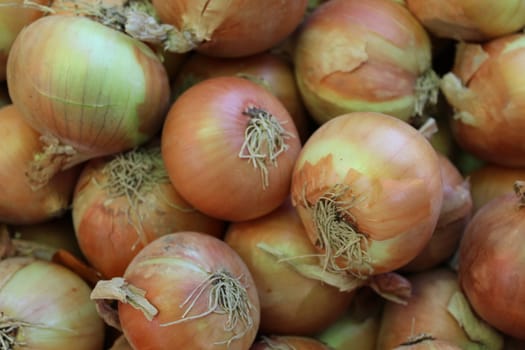 A bunch of onions on display at a market.