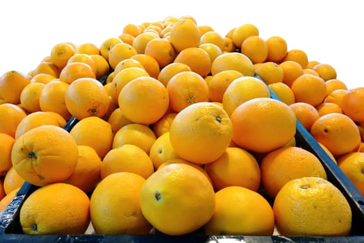 Navel Orange, Group of Friut isolated white background