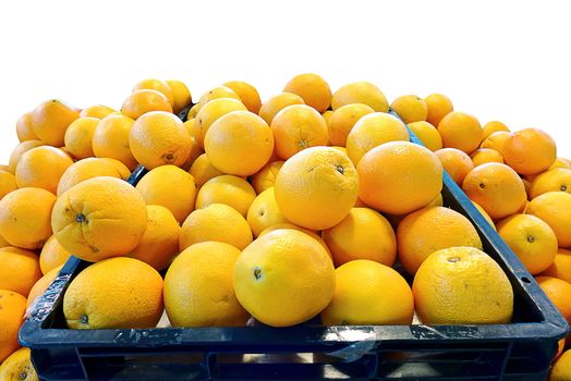 Navel Orange, Group of Friut isolated white background