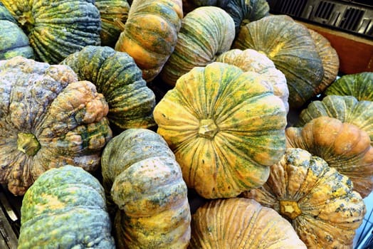 Group of pumkin in the market