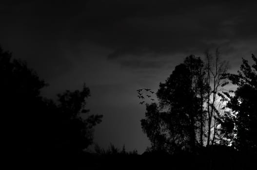 Lightning, Weather & Storms in night skies