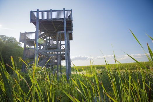 Wooden lookout on Pelee point conservation area, Ontario, Canada