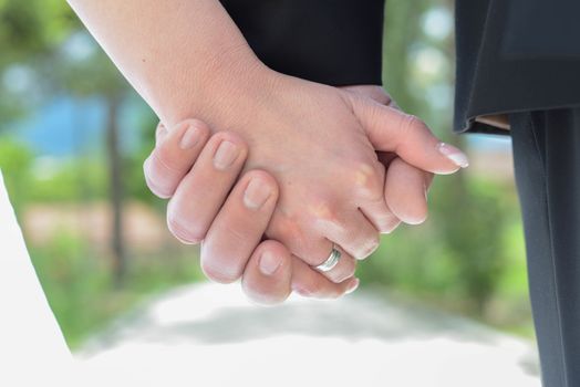 Picture of a Hands of a bride and groom