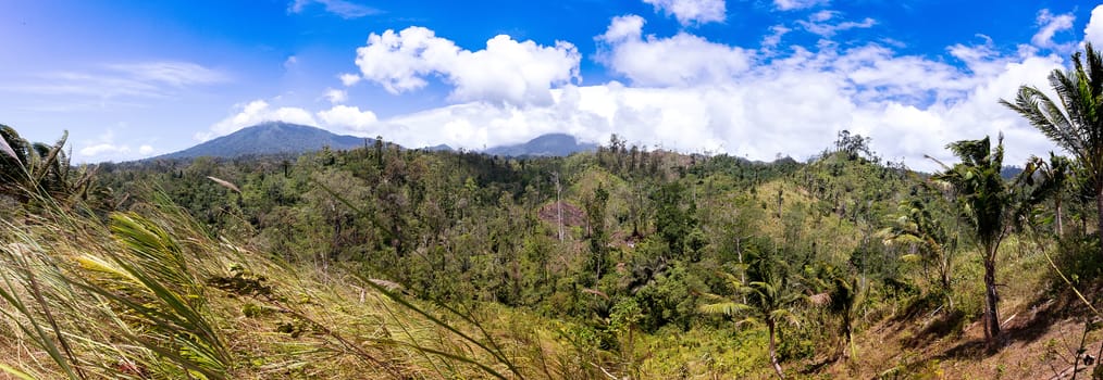 panorama of traditional Indonesian landscape with volcano and palms, Sulawesi, Manado, indonesia