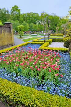 Garden in Keukenhof, tulip flowers and trees on background