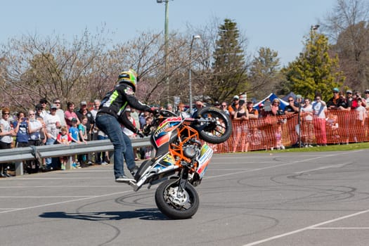 VICTORIA/AUSTRALIA - SEPTEMBER 2015: Stunt motorcycle rider performing at a local car show on the 13 September 2015 in Corowa.