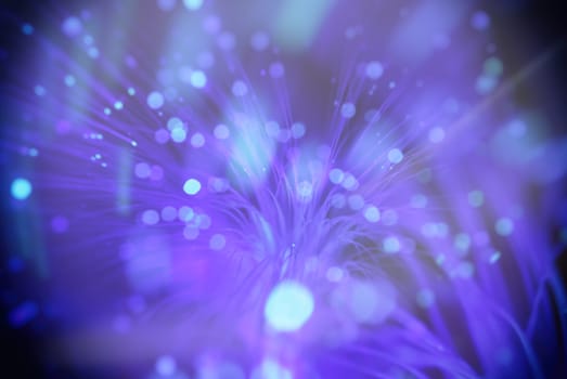 colored particles fly in space of the optical fiber and circling ( abstract blur background  )