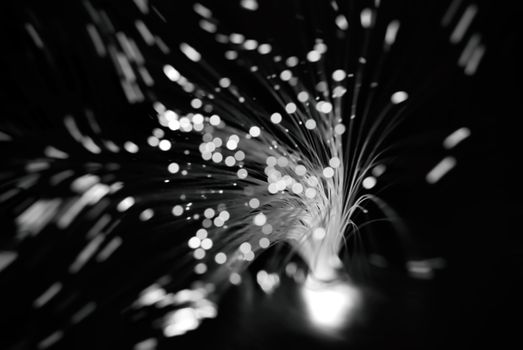 black and white particles fly in space of the optical fiber and circling ( abstract blur background  )