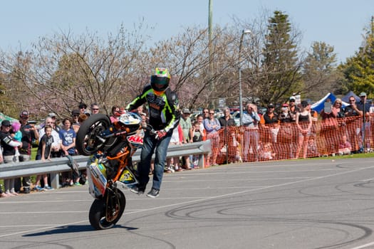 VICTORIA/AUSTRALIA - SEPTEMBER 2015: Stunt motorcycle rider performing at a local car show on the 13 September 2015 in Corowa.