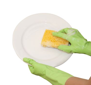 hands in green gloves wash  white plate