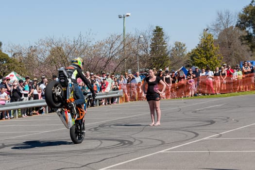 VICTORIA/AUSTRALIA - SEPTEMBER 2015: Stunt motorcycle rider performing at a local car show on the 13 September 2015 in Corowa.