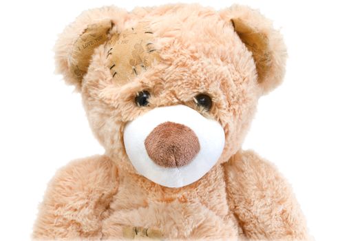 cream teddy bear with small eyes