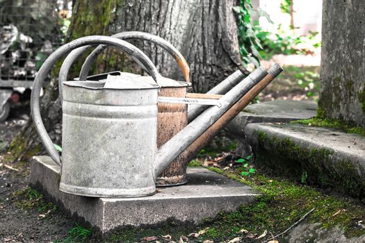 old watering can