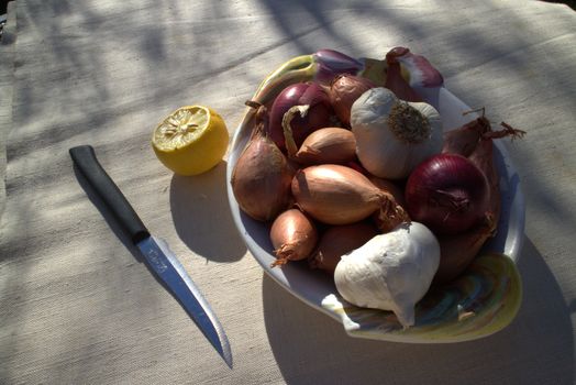 Onions on a table outdoor in a garden in summer time