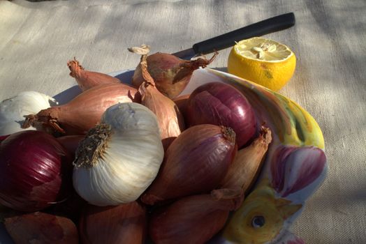 Onions on a table outdoor in a garden in summer time