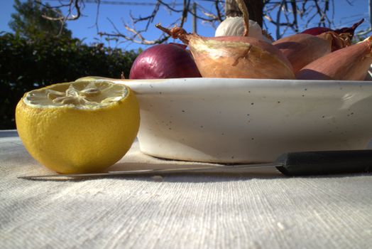 Onions on a table outdoor in a garden in summer time