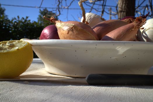 Onions on a table outdoor in a garden in summer time