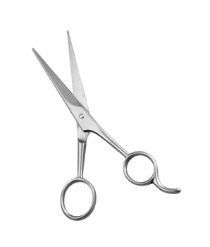 Professional Haircutting Scissors