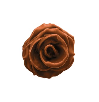 chokolate rose isolated on white