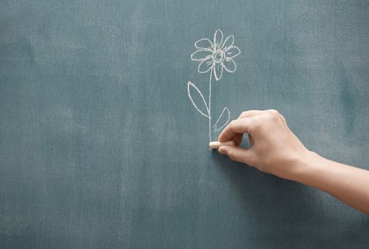 Human hand holding single flower drawn on a blackboard