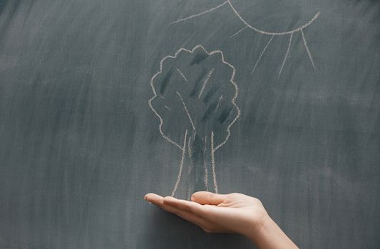 Tree and sun drawing on a blackboard