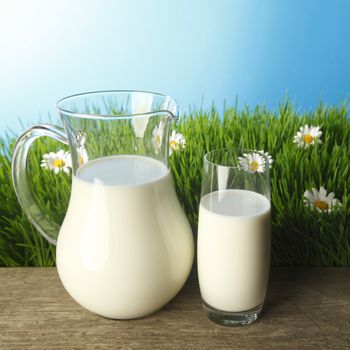 Glass of milk and jar on fresh grass meadow with chamomiles