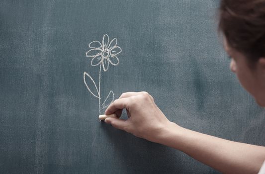 Human hand holding single flower drawn on a blackboard