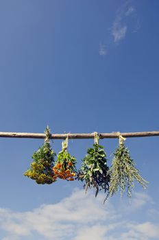 Mix various medical herbs bunch hanged to dry