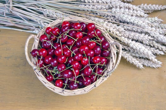 Picked cherries in wicker basket with wheat on wooden background