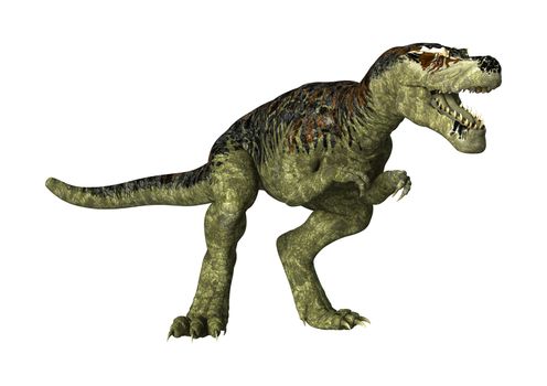 3D digital render of a dinosaur Tyrannosaurus Rex  isolated on white background