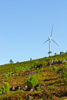 Modern Wind Turbine Producing Energy in Portugal