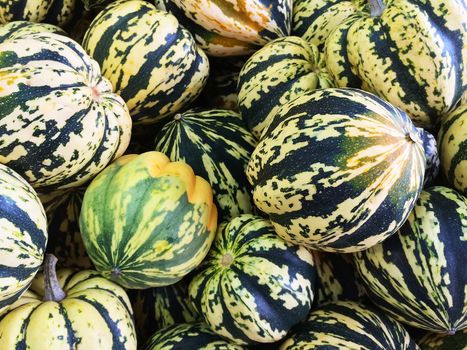 Variety of colorful Carnival squash at the autumn market.