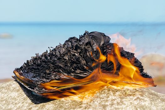 Burn book on the sea coast