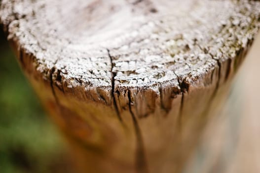 Close up of a wooden pole