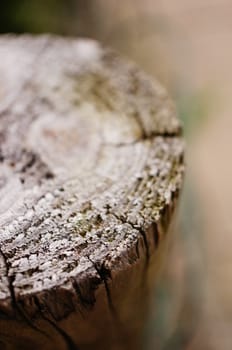 Close up of a wooden pole