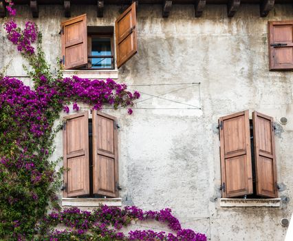 Beautiful vintage windows with colorful flowers and wooden doors, Mediterranean style