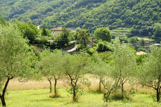 Vernio region hills in Italy.