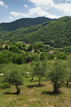 Vernio region hills in Italy.