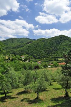 Vernio region hills in Italy.