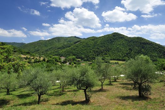 Vernio region hills in Italy.