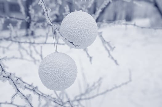 Winter background with snow-covered tree and Christmas toy