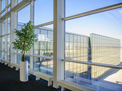 Large windows overlooking the Donetsk airport, a tree growing inside the office